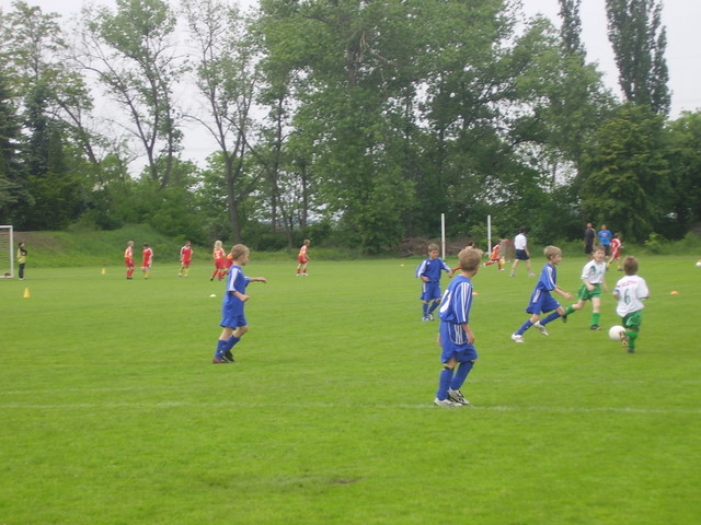P1010090.JPG